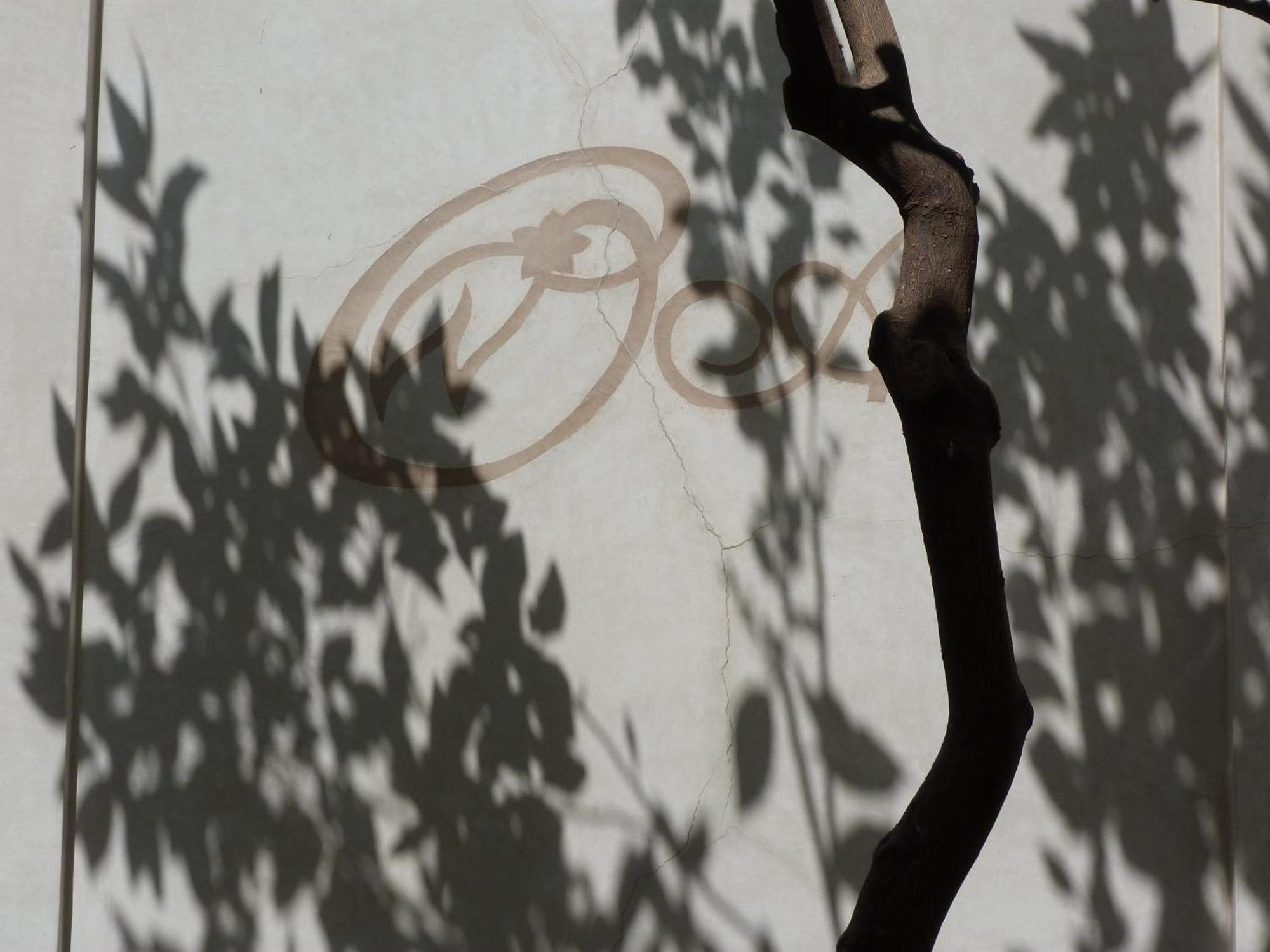Riad Les Orangers D'Alilia Marrakesh Buitenkant foto